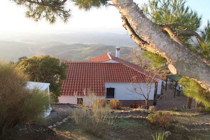 House in the Axarquia at sunrise with pine tree in the foreground