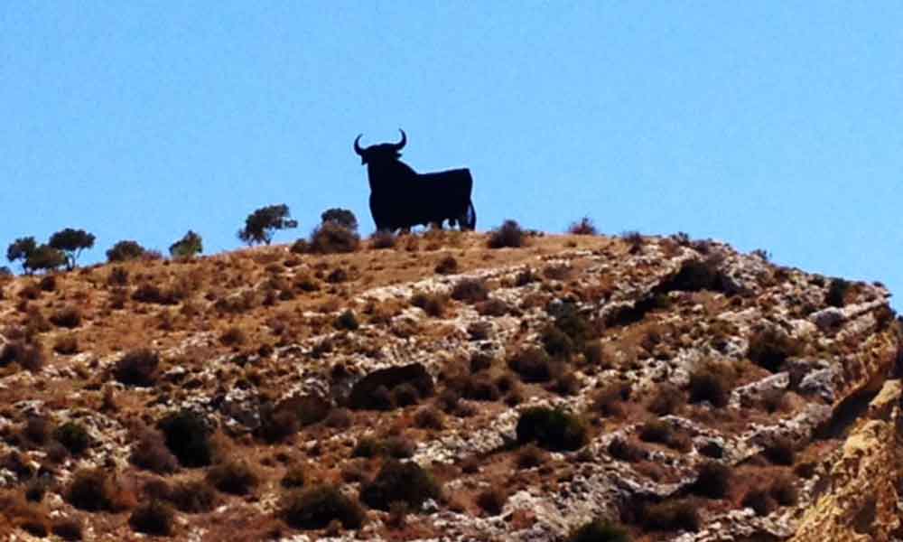 SHA Toro Torre del Mar Andalusia