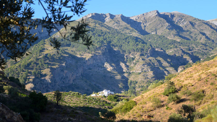 Casa Alazuytun in the campo of Canillas de Aceituno with Maroma in the background